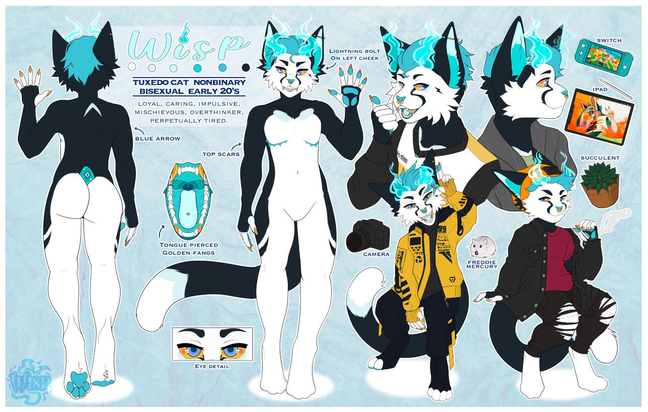 Wisp's Reference